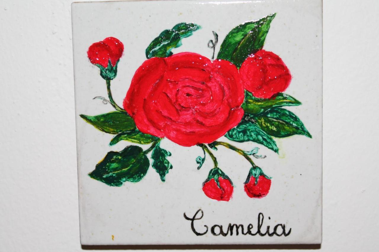 Il Casale Di Sandra คิอูซี ภายนอก รูปภาพ