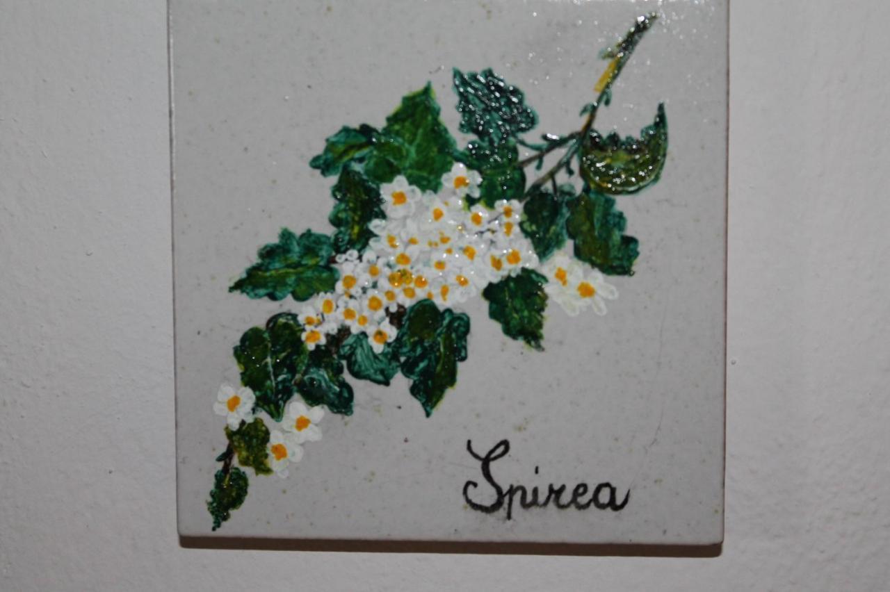Il Casale Di Sandra คิอูซี ภายนอก รูปภาพ