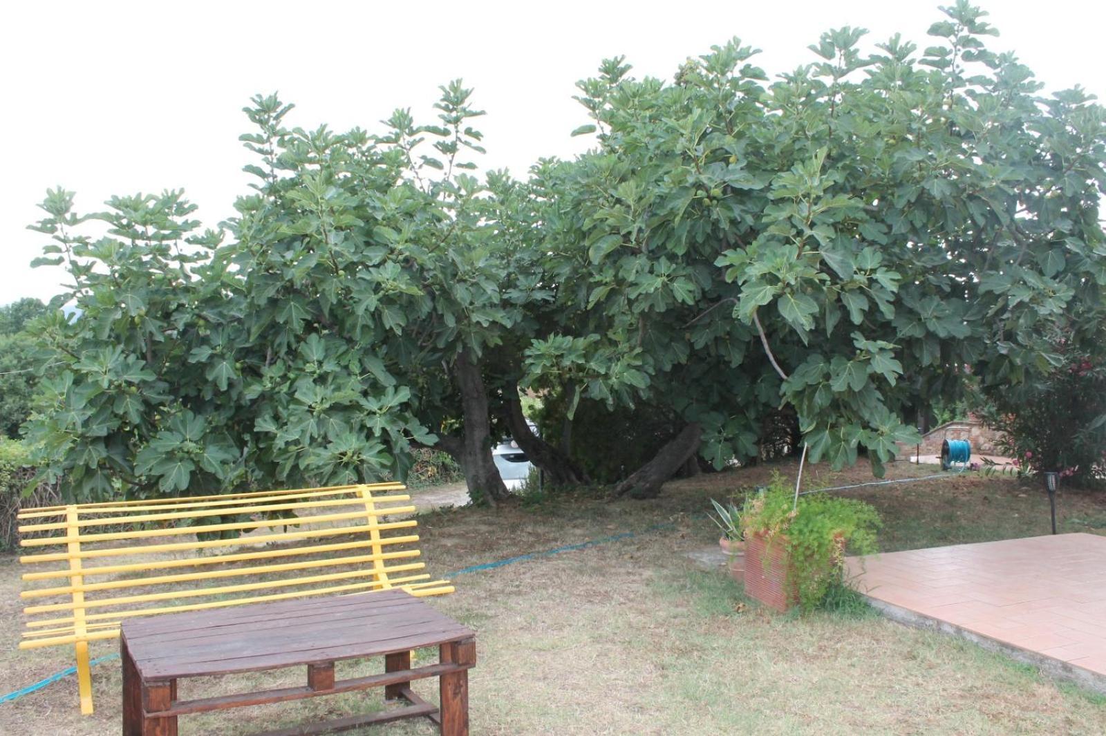 Il Casale Di Sandra คิอูซี ภายนอก รูปภาพ