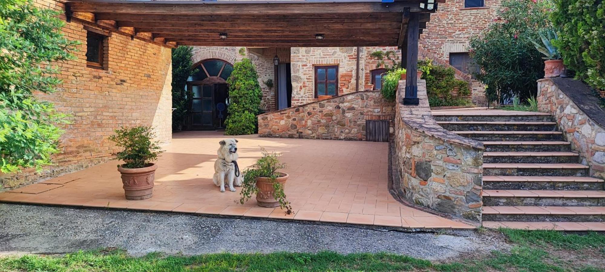Il Casale Di Sandra คิอูซี ภายนอก รูปภาพ